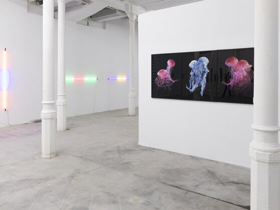 Al-Tiba, Barcellona | Arte Laguna Prize